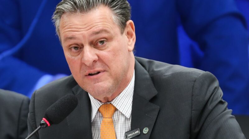 Gripe aviária não deve impactar preço da carne de frango, diz ministro