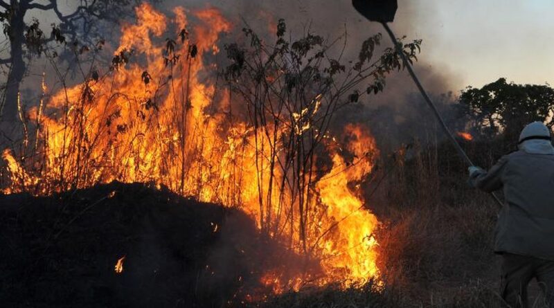 Ibama multa 242 pessoas por incêndios criminosos em 2024