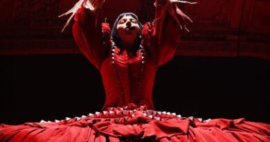 Lady Gaga só soube de plano de atentado em show no RJ pela imprensa, diz equipe