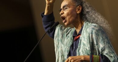 Marina Silva diz que propostas democratizam política ambiental