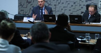 Ministro da Agricultura anuncia que foco de gripe aviária está contido