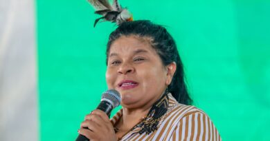 Mudança na demarcação de terras indígenas é retrocesso, diz ministra