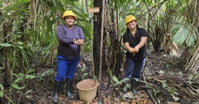 Mulheres extrativistas enfrentam preconceito e geram renda na Amazônia