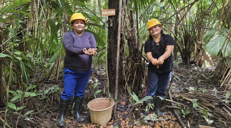 Mulheres extrativistas enfrentam preconceito e geram renda na Amazônia