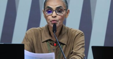 Oposição à proteção ambiental tenta silenciar Marina, diz analista