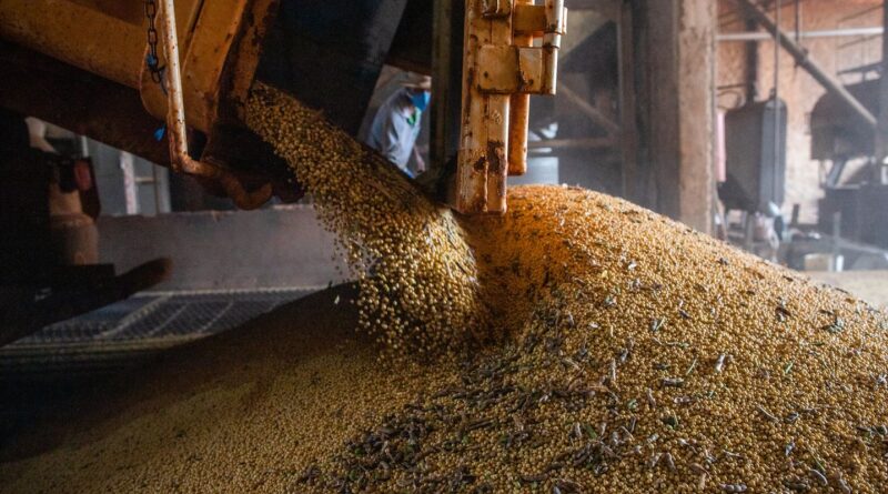 PIB atinge patamar recorde pelo 14º trimestre seguido