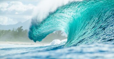 Pipeline volta a sediar a etapa final do Circuito Mundial de Surfe