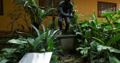 Placa homenageia 11 escravizados que reflorestaram Floresta da Tijuca
