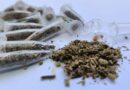 Polícia identifica em Nova Venécia maior apreensão de 'supermaconha' no ES