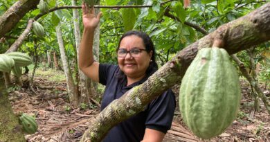 Potencial para bioeconomia atrai investimentos na Amazônia