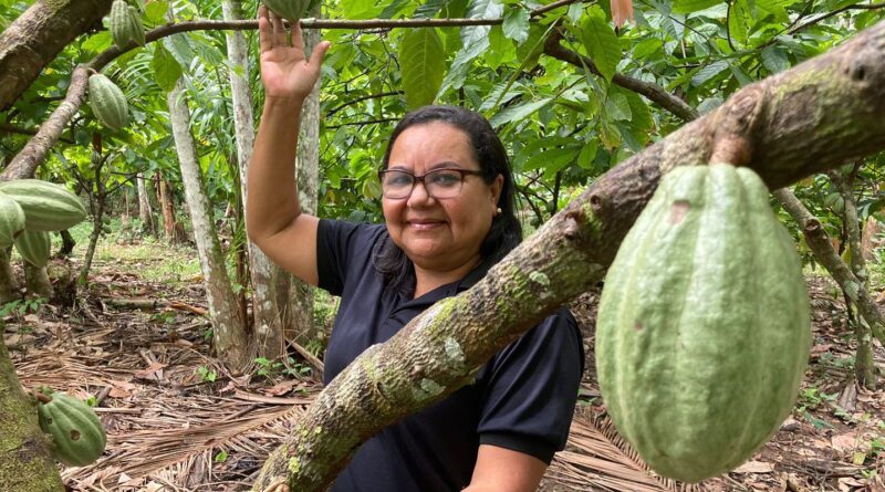 Potencial para bioeconomia atrai investimentos na Amazônia