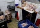 Prazo de 28 dias para Brasil ficar livre da gripe aviária começa hoje