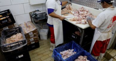 Prazo de 28 dias para Brasil ficar livre da gripe aviária começa hoje