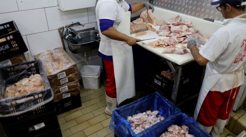 Prazo de 28 dias para Brasil ficar livre da gripe aviária começa hoje