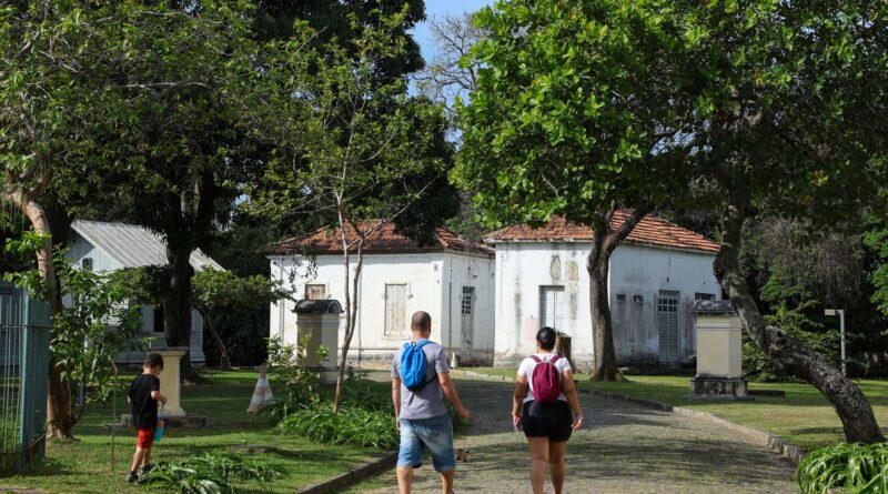 Programação no Mast lembra os 100 anos de visita de Eisntein ao Brasil