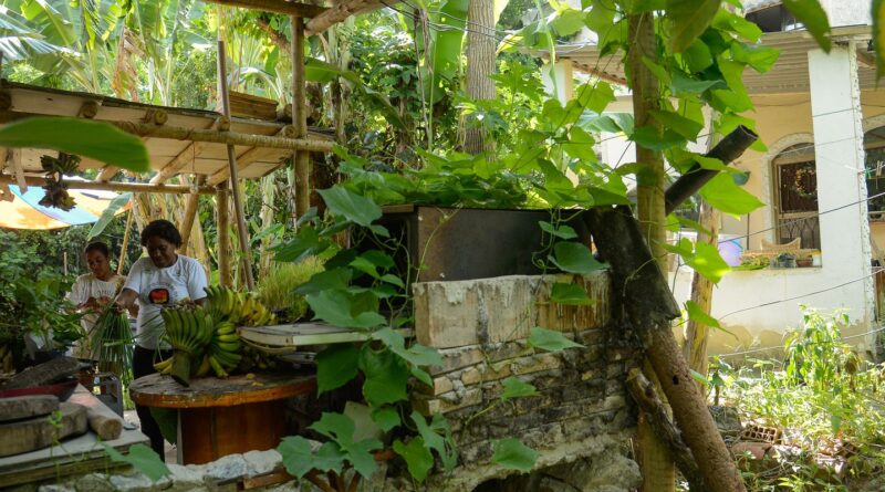 Seis em cada dez quilombolas vivem em área rural, revela Censo do IBGE