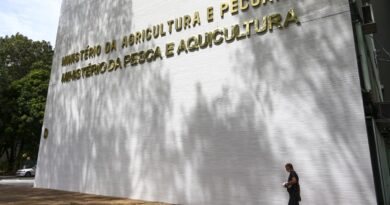 Sete casos de doenças respiratórias em aves são investigados no país
