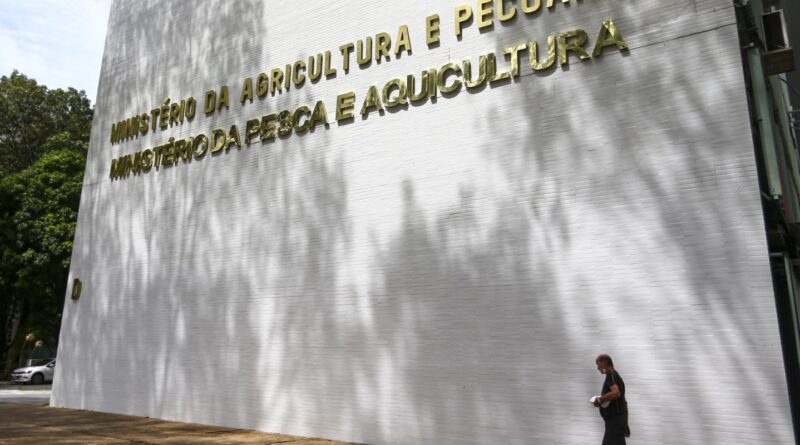 Sete casos de doenças respiratórias em aves são investigados no país