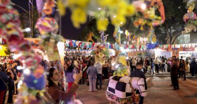 TV Brasil terá programação especial das festas de São João