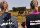Zoológico de Brasília é fechado após suspeita de gripe aviária