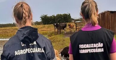 Zoológico de Brasília é fechado após suspeita de gripe aviária