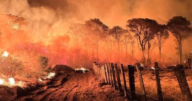 Ações da Operação Incêndios 2025 da PF iniciam pelo Pantanal