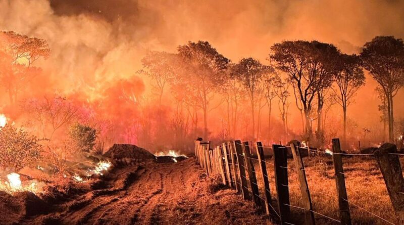 Ações da Operação Incêndios 2025 da PF iniciam pelo Pantanal