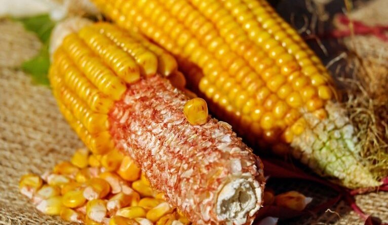 Ambulante é preso por cobrar US$ 191 por dois milhos na Praia de Copacabana, no RJ