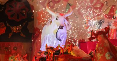 Boi Garantido vence festival de Parintins e garante o 33º título