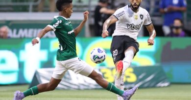 Botafogo e Palmeiras abrem oitavas de final do Mundial de Clubes