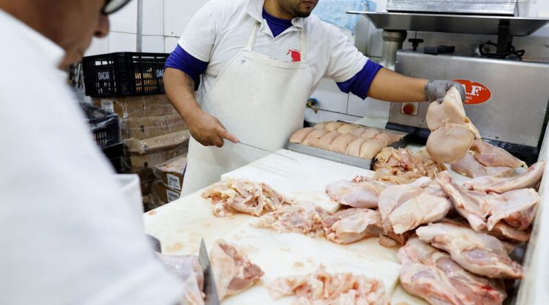 Brasil se declara país livre da gripe aviária