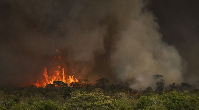 Câmara aprova aumento de punição a quem provocar incêndios florestais