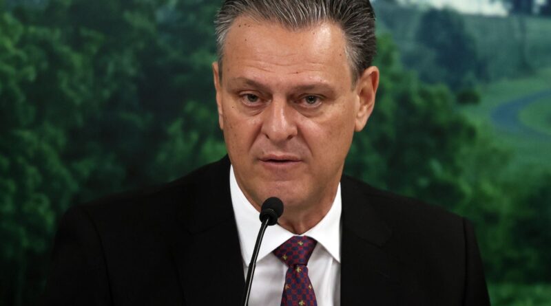 Combate à gripe aviária mostra eficiência do Brasil, diz ministro