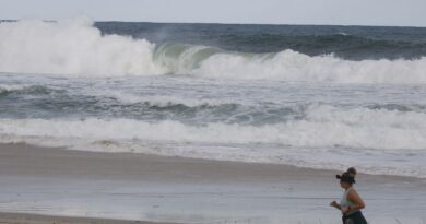 Conferência dos Oceanos reunirá líderes na França na próxima semana
