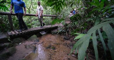 Confira os principais cuidados a serem tomados ao fazer trilhas