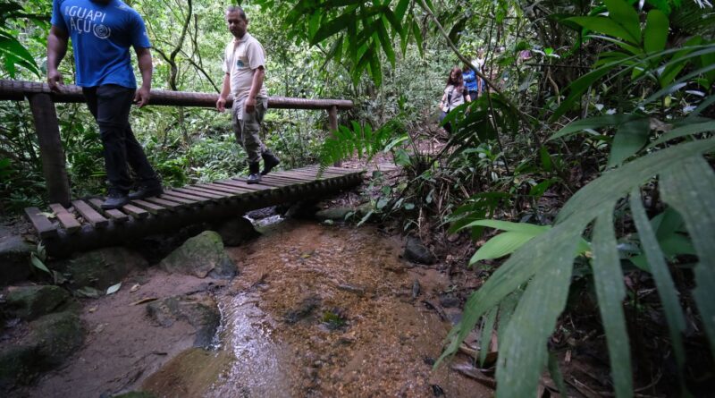 Confira os principais cuidados a serem tomados ao fazer trilhas
