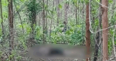 Corpo com mãos amarradas é encontrado em plantação de eucalipto em São Mateus