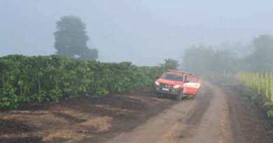 Criança de 3 anos some em fazenda e passa a noite desaparecida em Boa Esperança