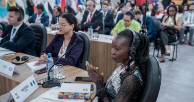 Cúpula da Juventude do Brics busca cooperação para mercado de trabalho