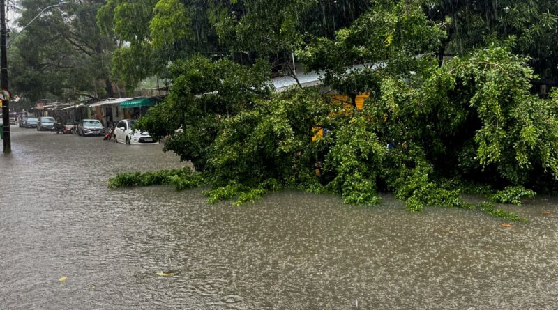 Defesa Civil Alerta é lançado no Nordeste para notificar riscos