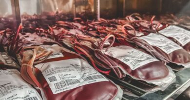 Dia Mundial do Doador de Sangue: uma única doação pode salvar 3 vidas