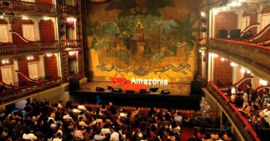 Em ano de COP30, evento em Belém debate restauração da Amazônia