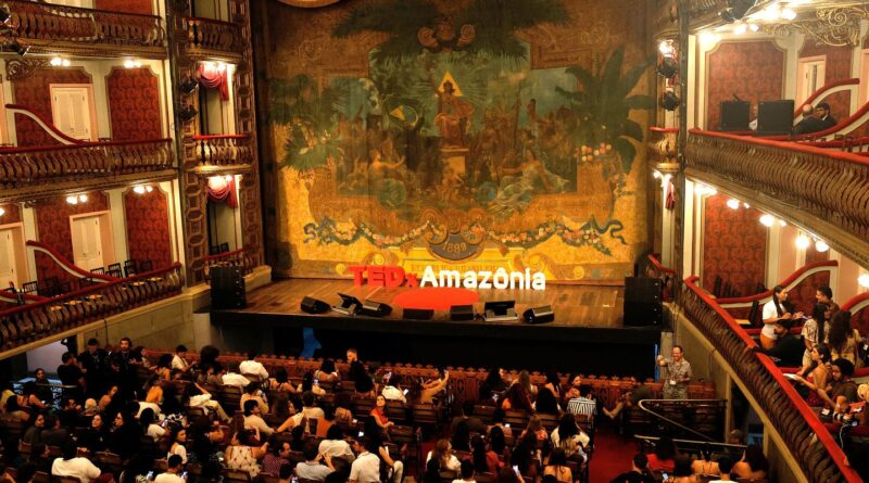 Em ano de COP30, evento em Belém debate restauração da Amazônia