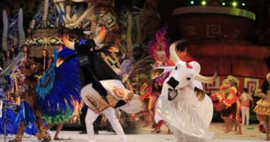 Festival de Parintins mobiliza torcidas em defesa da floresta