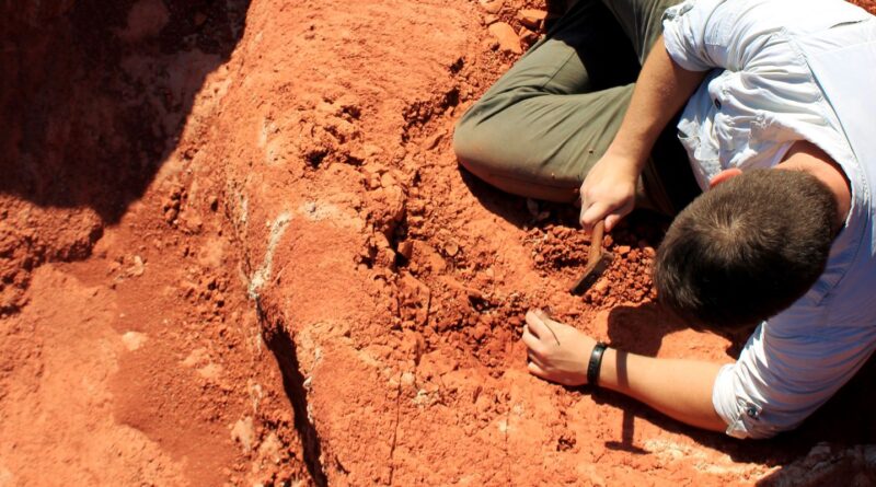 Fóssil descoberto no Brasil lança luz sobre origem dos dinossauros