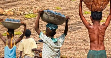 Mais de 6 mil crianças são resgatadas do trabalho infantil em 2 anos