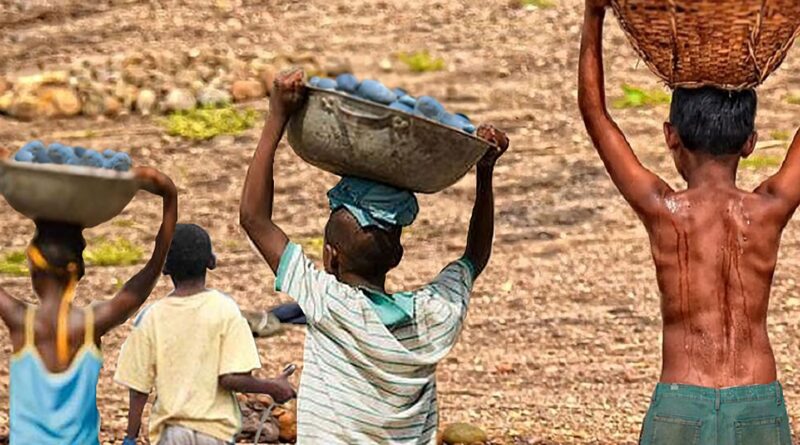 Mais de 6 mil crianças são resgatadas do trabalho infantil em 2 anos