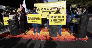 Manifestantes realizam protesto contra o PL da Devastação em São Paulo