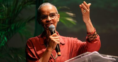 Marina Silva alerta para "golpe mortal" em normas sobre licenciamento