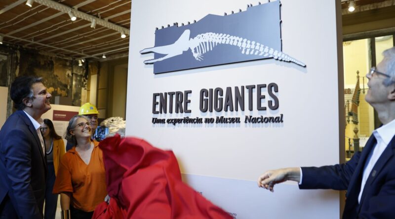 Museu Nacional do Rio reabre para exposição sete anos após incêndio